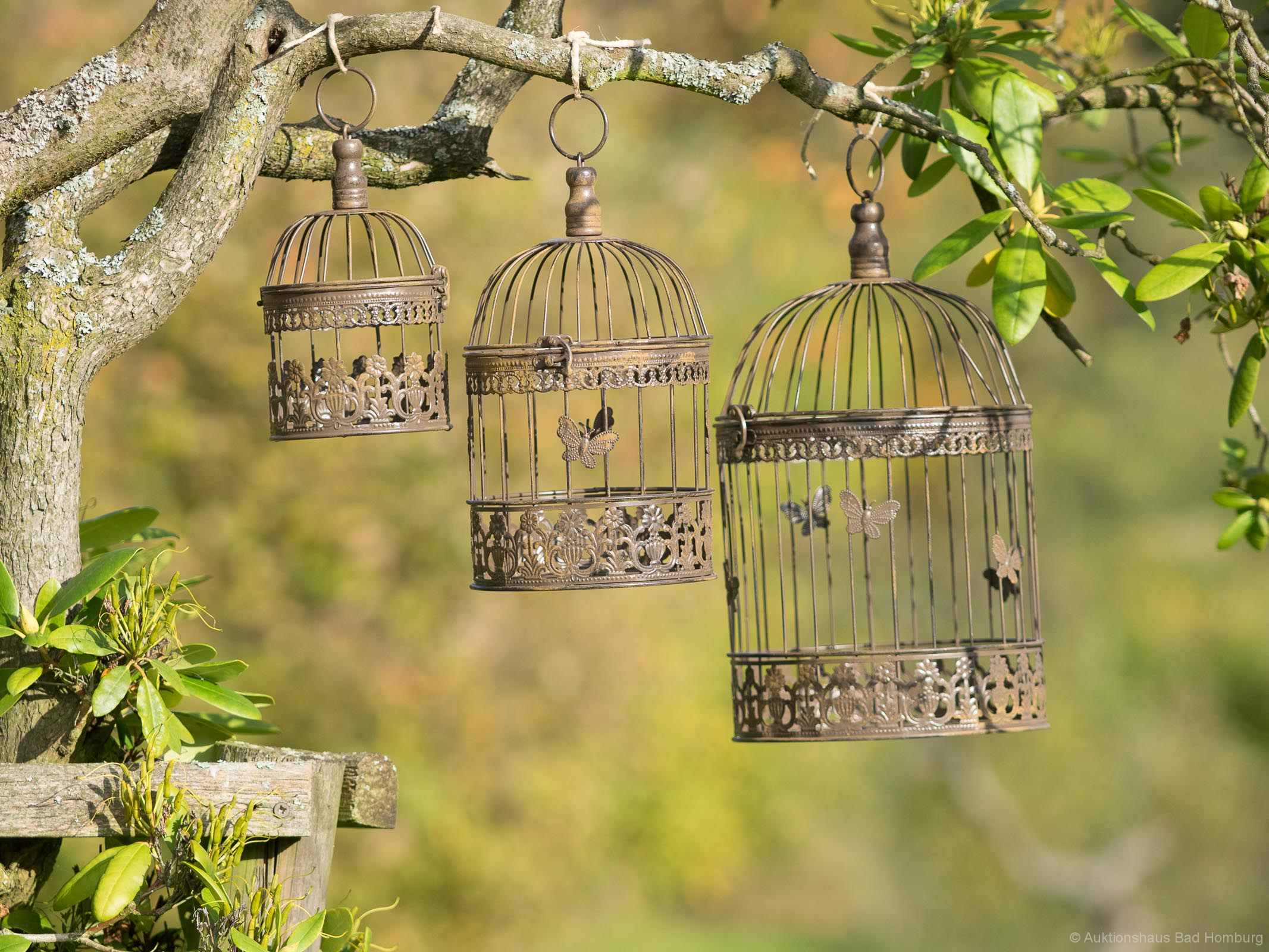 zeewier baas evenaar 3 vogelkooien vogelkooi decoratie antieke stijl metalen bruine vogelkooi  decoratie kooi | Nederland