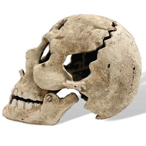 Skull Skull Skeleton Iron Antique Style 23cm Candlestick Halloween Gothic
