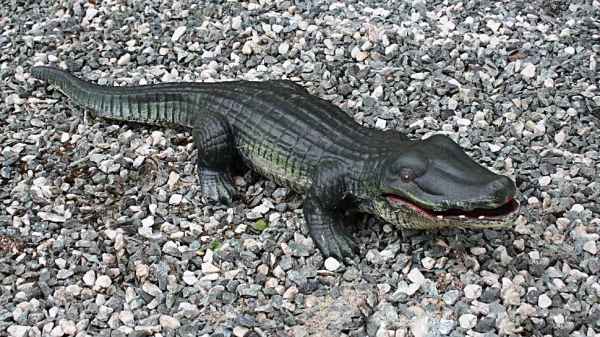 Krokodil Figur Gartenfigur Gusseisen Skulptur Alligator Teich Garten Afrika 75cm
