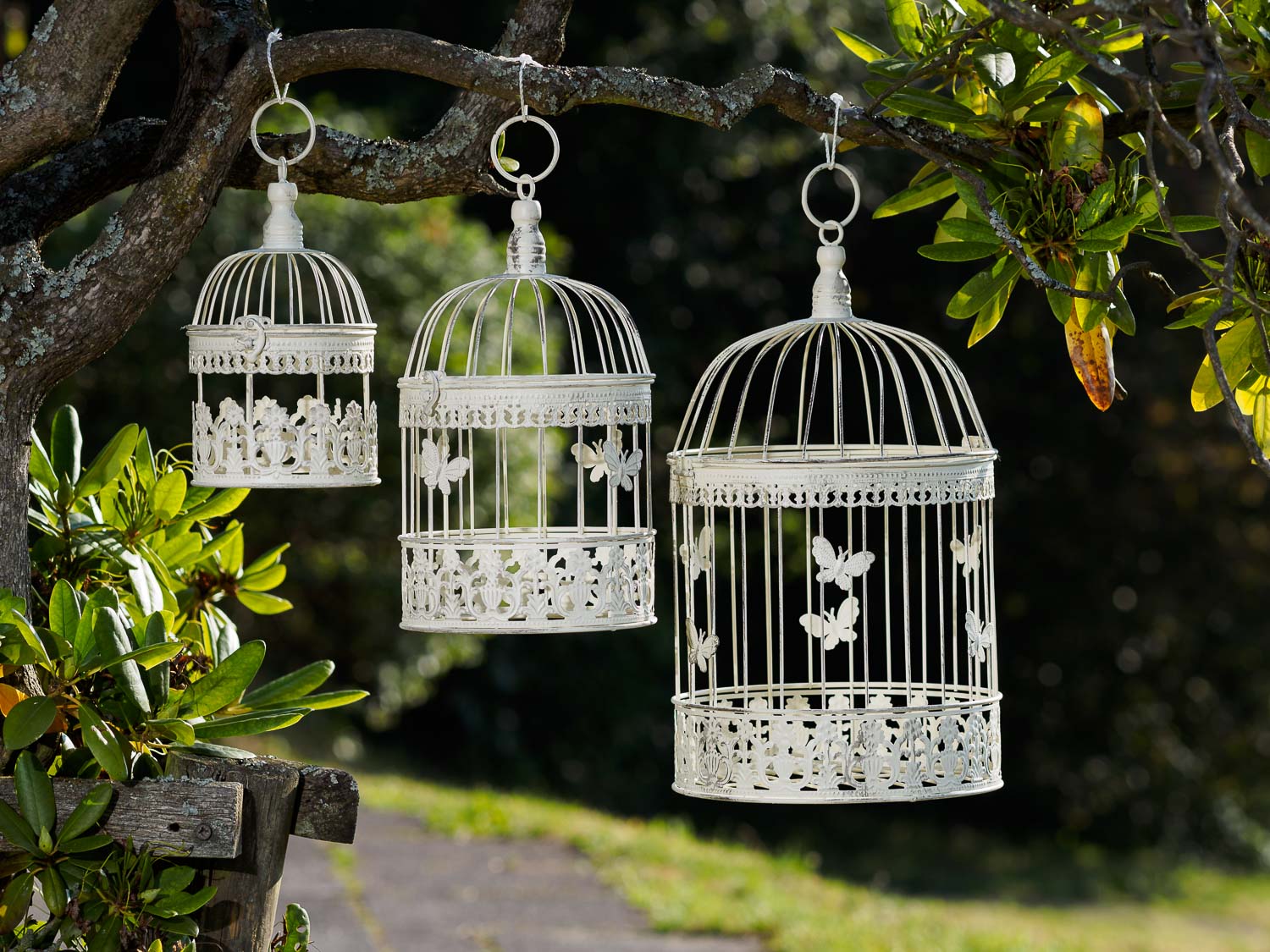 Decorative bird cage - vintage style - set of - wrought iron - white | aubaho ®